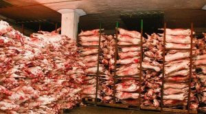 327681-07022025-1738910024-1577966513--30032015-1427707094-1942114830-nuuts_mah1