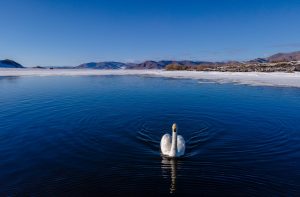 5b5eib_MPA_PHOTO2022-0270_x974