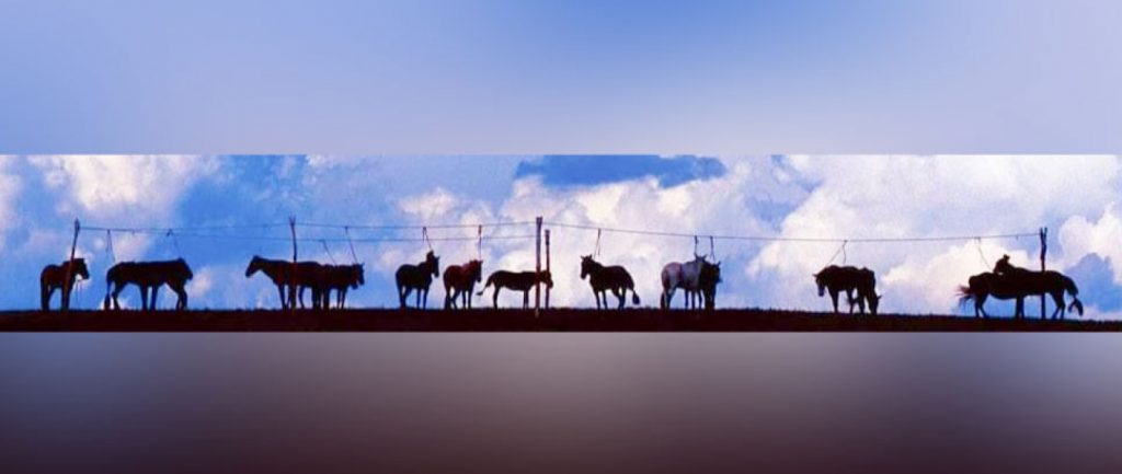 cQZsyMkr49lQZNWo9Lq5