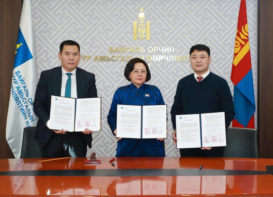 image_870x_67b2e29f538c6