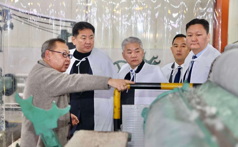 received_626765690306213-810x500