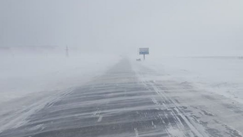 131067942_2813090125604667_1977144190983943051_n-6xxe14zshgjrq3glvy2beh4amsritfwjnheeeea50e8