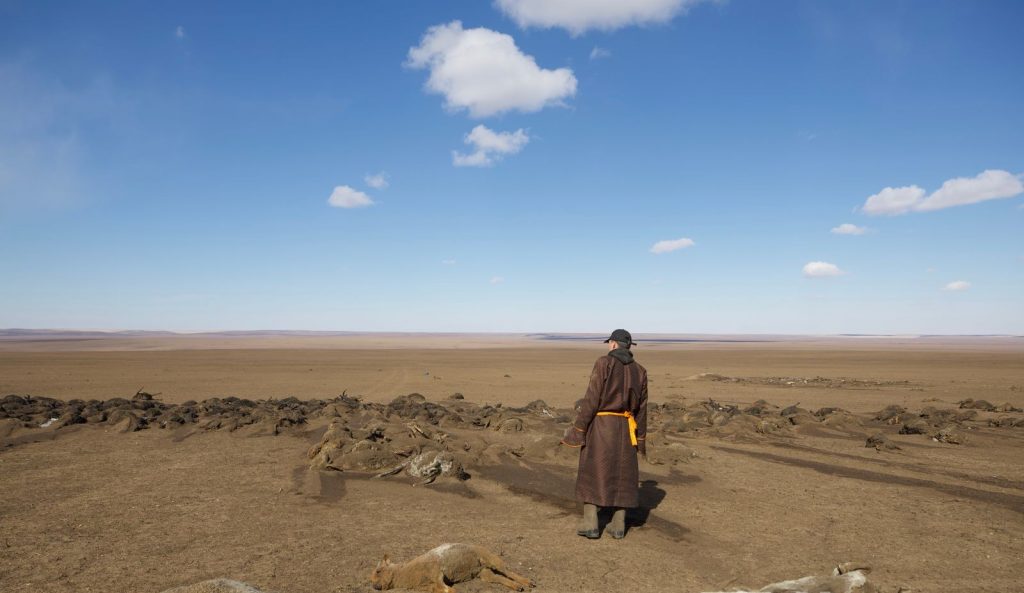 u8wy2a_MPA_1771_x974