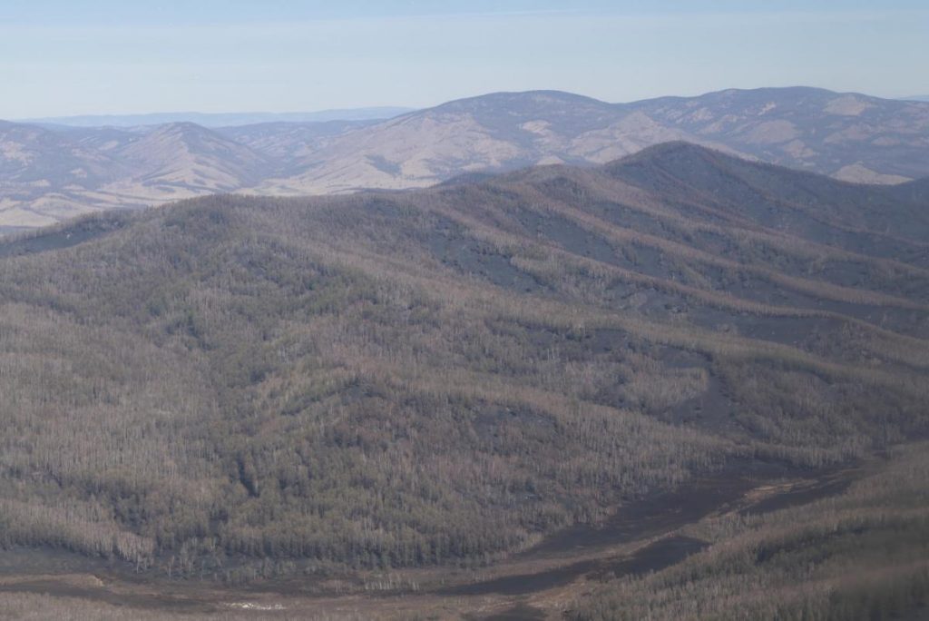 blobid1747013370564-68214eee7a563