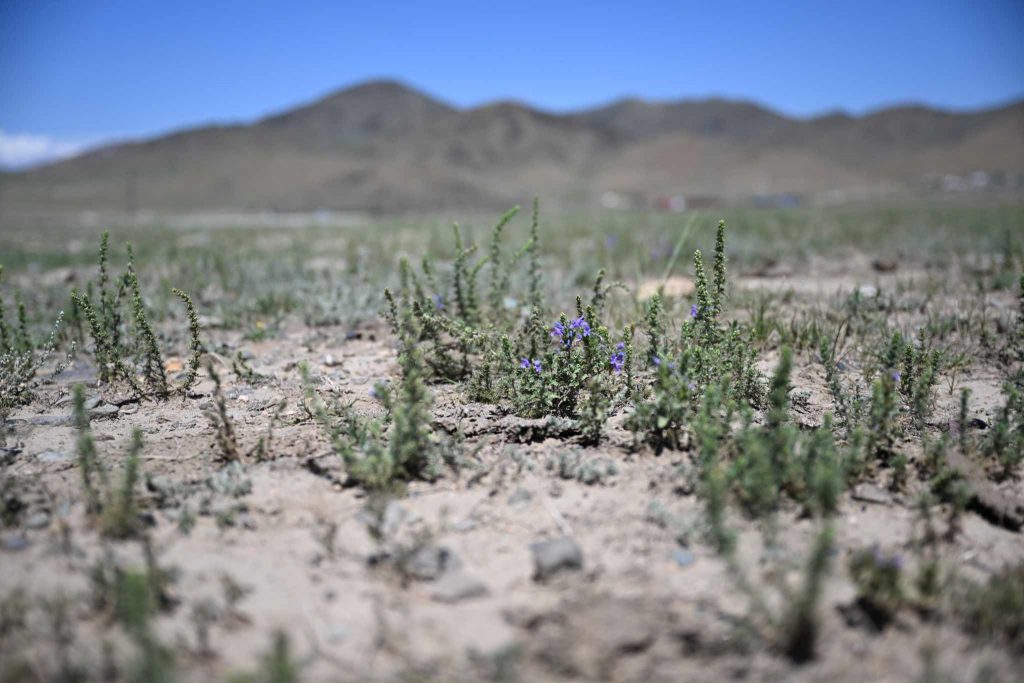 6881e8ae76868b67547b2e0f