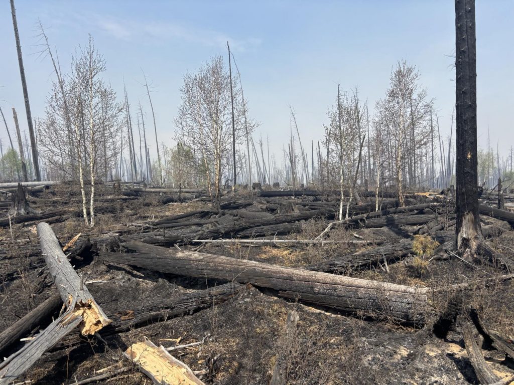 viber_image_2025-07-24_09-33-04-580 (1)