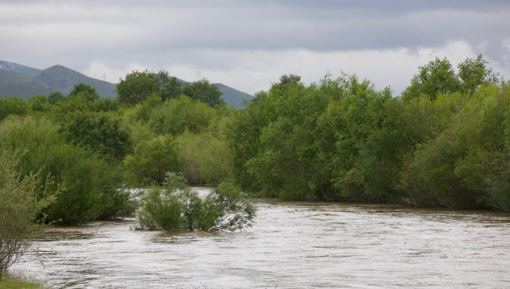 y2fzyd_MPA48344_x974