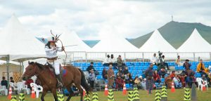 233621061467c07e762cbdb8ae0bf817