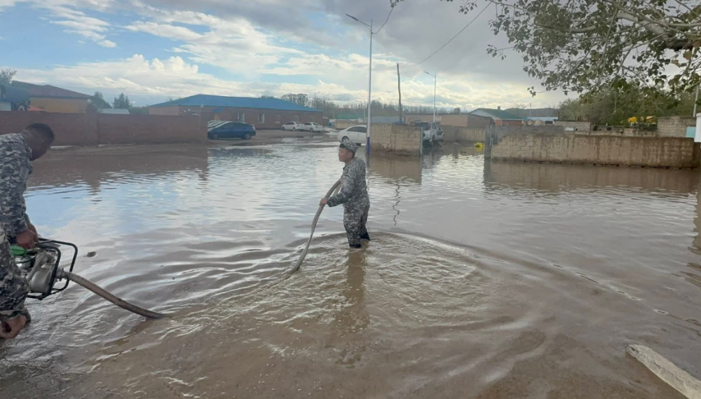 3a8e023296395559822cb74ce03e66ab