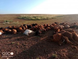 535067137_1341887447939743_871093106570732400_n (2)