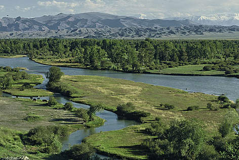 806ac2ddb1f6bef0d384b8111649ddfb