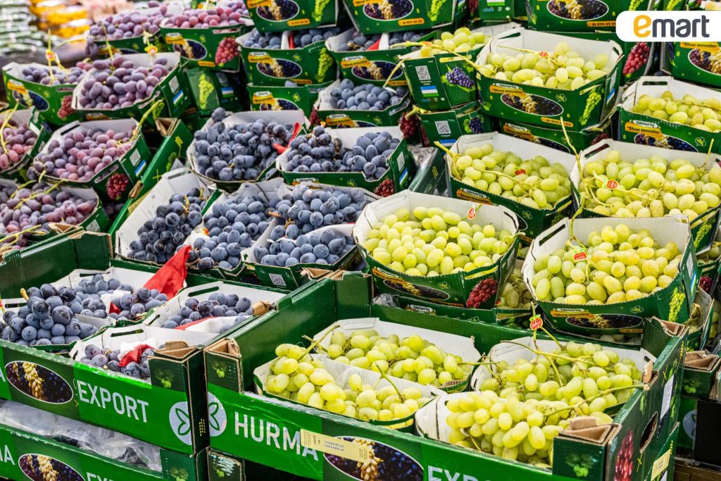 979c70ac-1405-4686-a198-76a7a75e968d_1