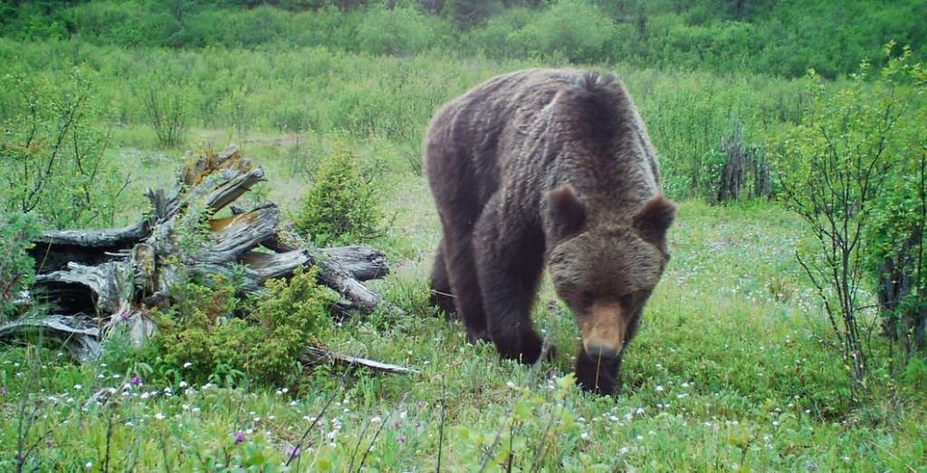 bf1a78f394aea785385164a810deae99