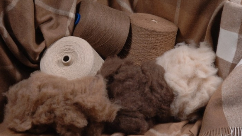 content_photo_20190522184816