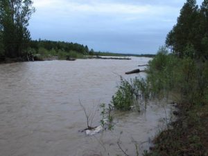 d3786f4dbe91438f62ea0c44068e2bd8_x3