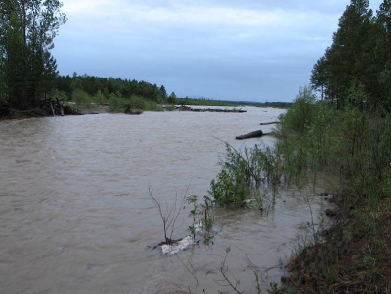 d3786f4dbe91438f62ea0c44068e2bd8_x3