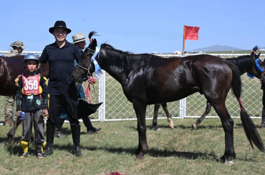 d6e6cae4038854972e604f4aa2462f8e