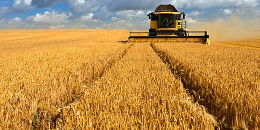 new_449fcb3147863e6653967b76654f66f56f8f5fea