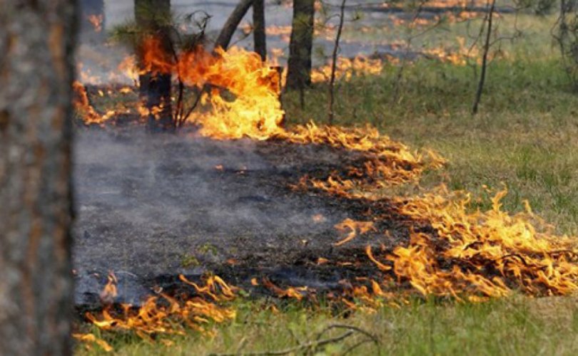 tuimer-zurag-6r0cvtex1sv96xtqlt6vwzspiklhafyk5sfv1xfjeio-810x500