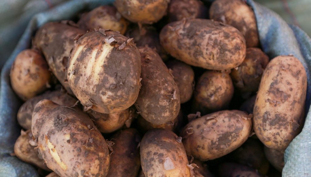 w6oygy_JU5A3746_x974