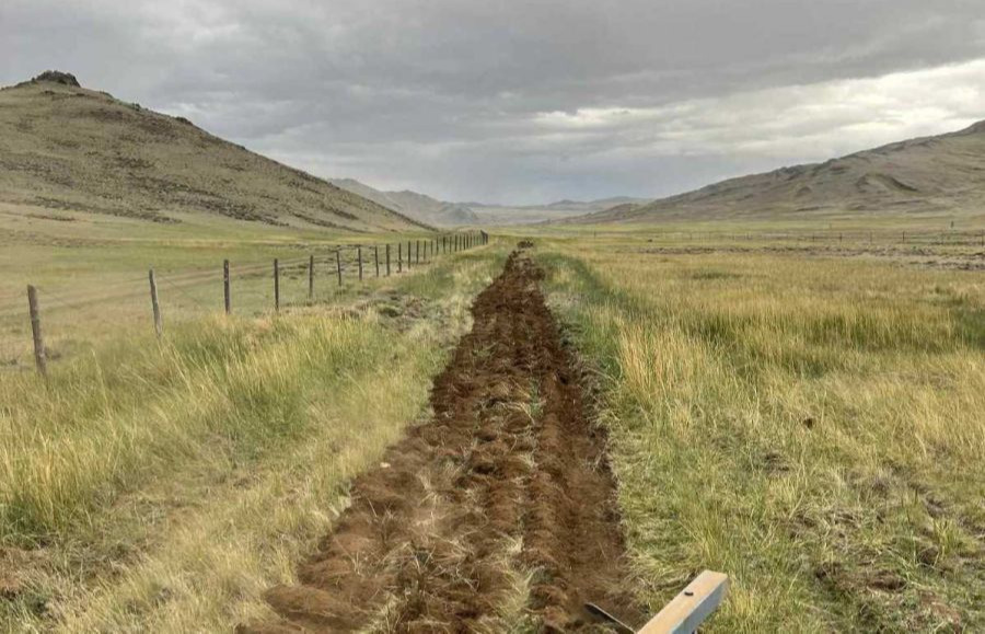 Ойн газар Хил хамгаалах ерөнхий газар хамтран хил дамнасан түймрээс урьдчилан сэргийлж байна.