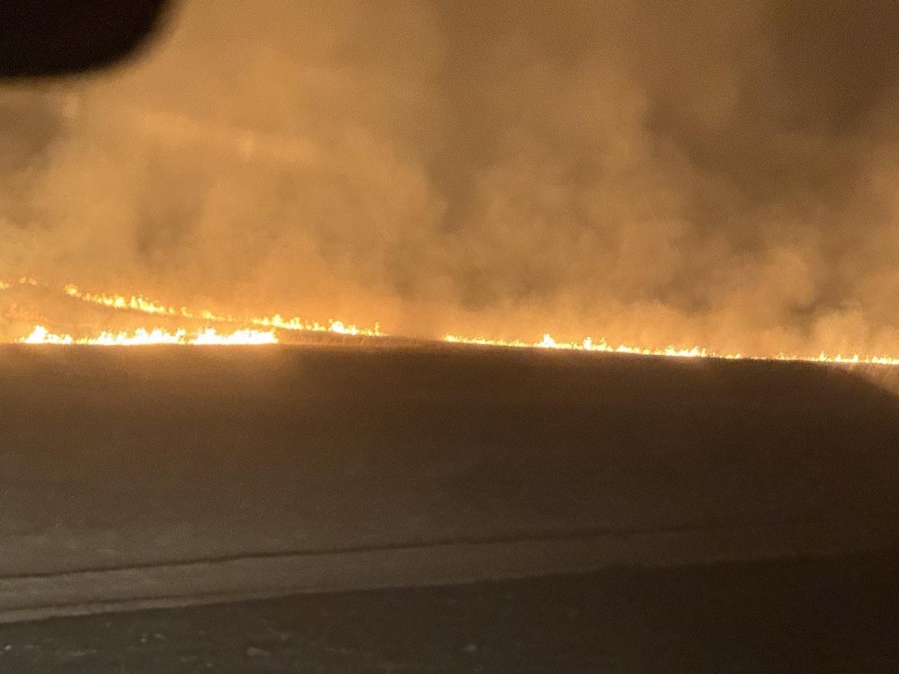 -12092025-1757671541-1629262885-328504-07032025-1741333605-515393684-tuimer