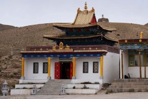 1fead139-be42-43d1-99b6-7ecf53ebd611