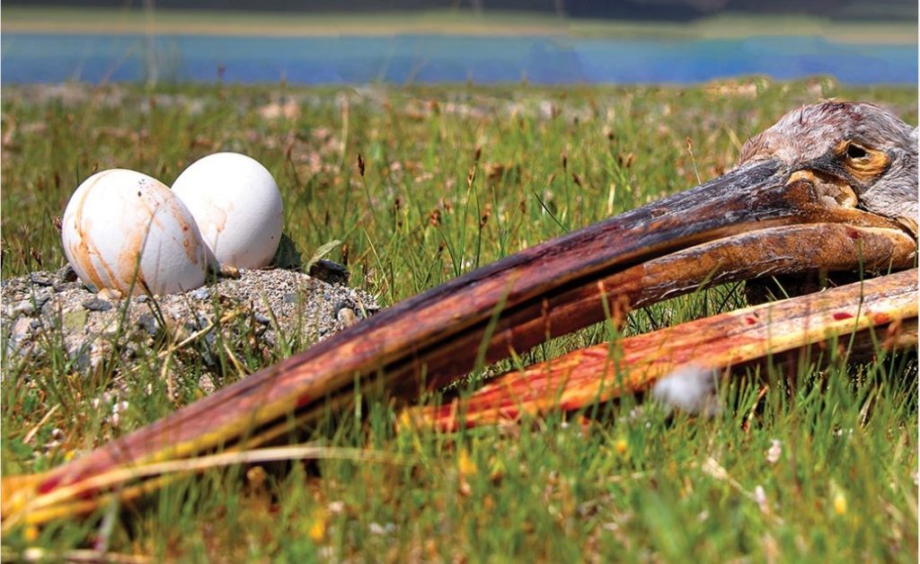 26q2ft_Screenshot_2025-09-25_at_15_39.21_x974