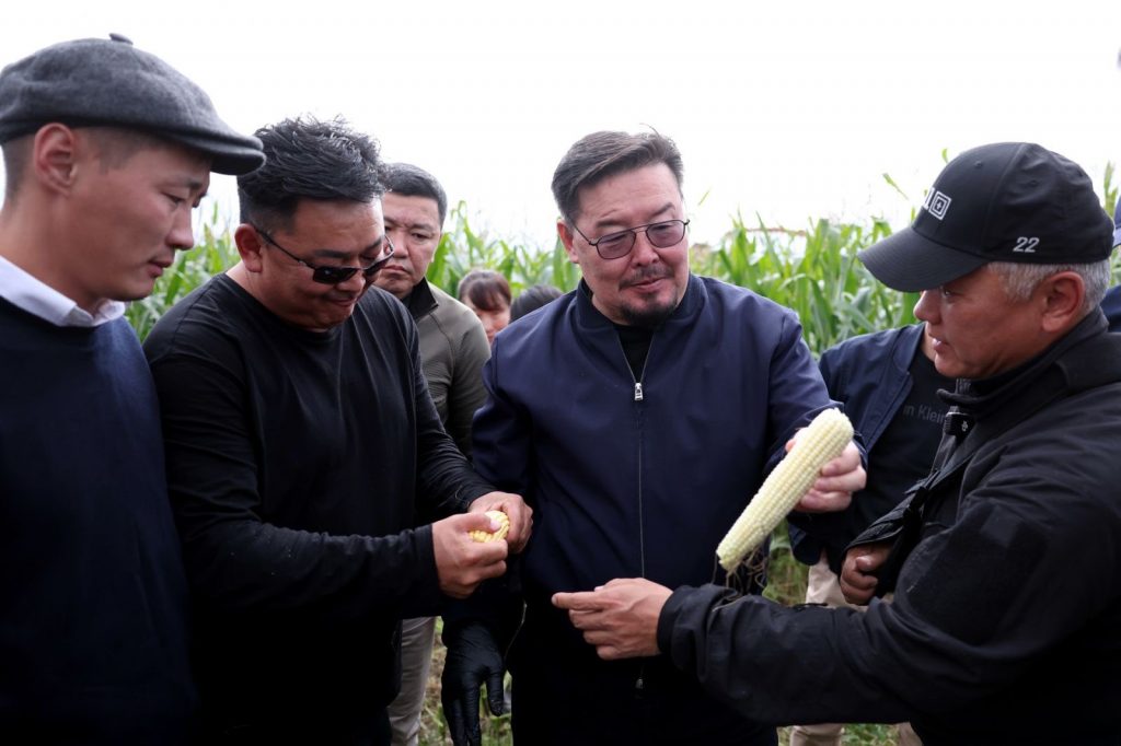 544919022_1322780546071332_6142818392793422777_n_aNFwSFs