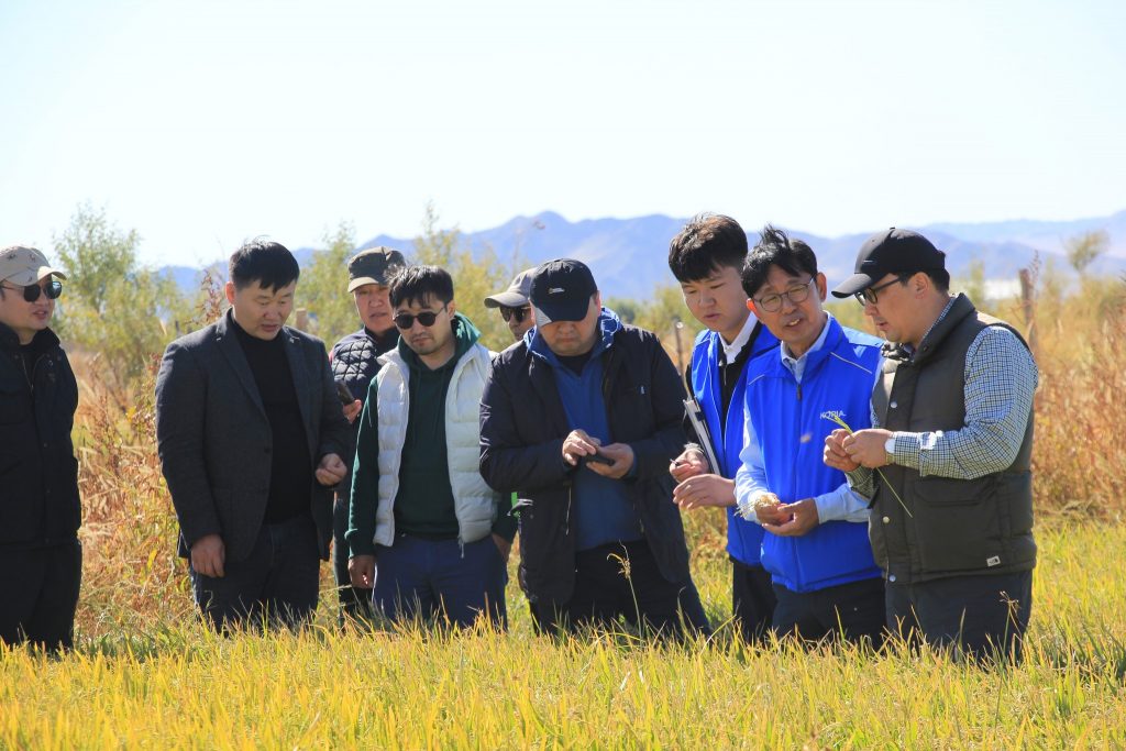 548914876_1096733889274809_5107710379785678313_n