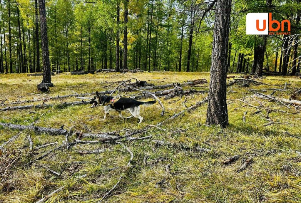 549198547_1092864779683618_1623514563226734342_n