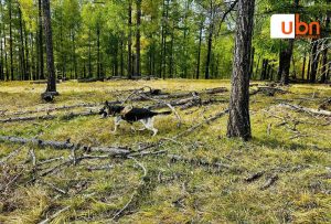 549198547_1092864779683618_1623514563226734342_n