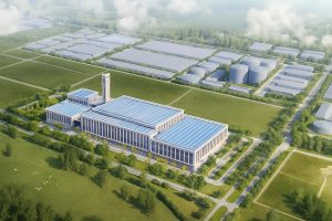 68bfe425e337fe7967a2ff34