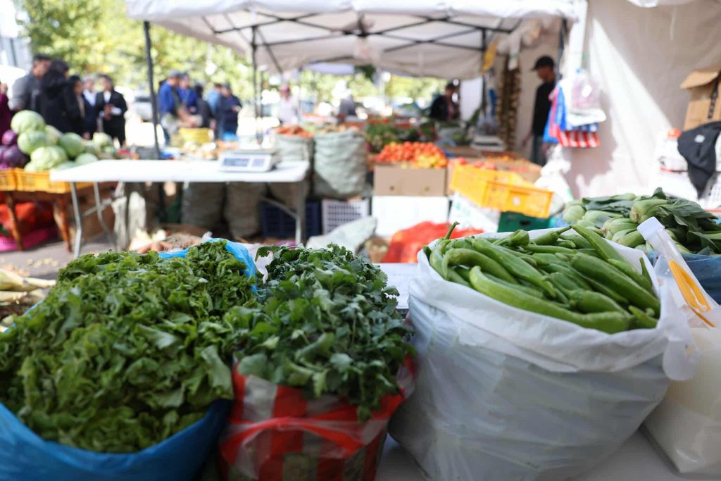 68d3bc31e337fe7967a30246 (1)