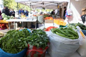 68d3bc31e337fe7967a30246