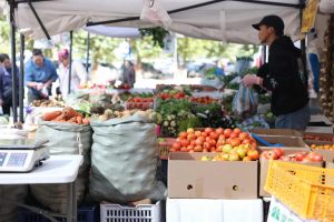 68d3bdffe337fe7967a30249