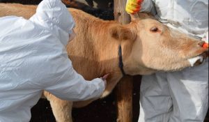 6c96df95c8ddd945969d619494c5fb7cf1772692