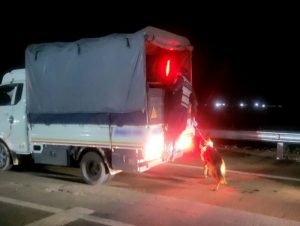 a38a5f55a278a08a9bcb074b220cdda9