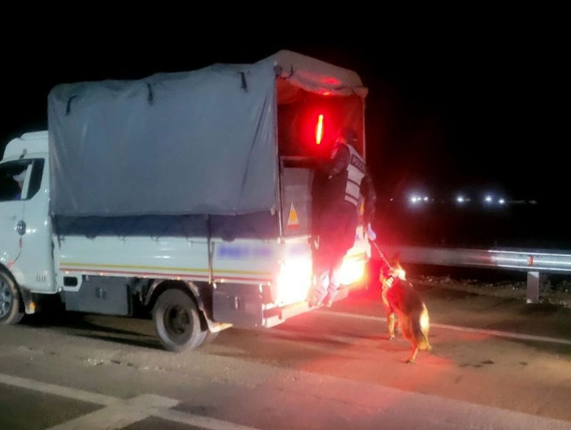 a38a5f55a278a08a9bcb074b220cdda9