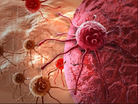 ade35c09-4dc1-49ec-a9b7-8c762b7da7a7