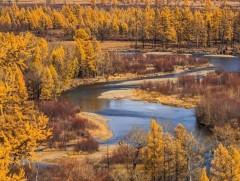 bb516e3bbf1fd94734f4e8229a3f7c88_x1