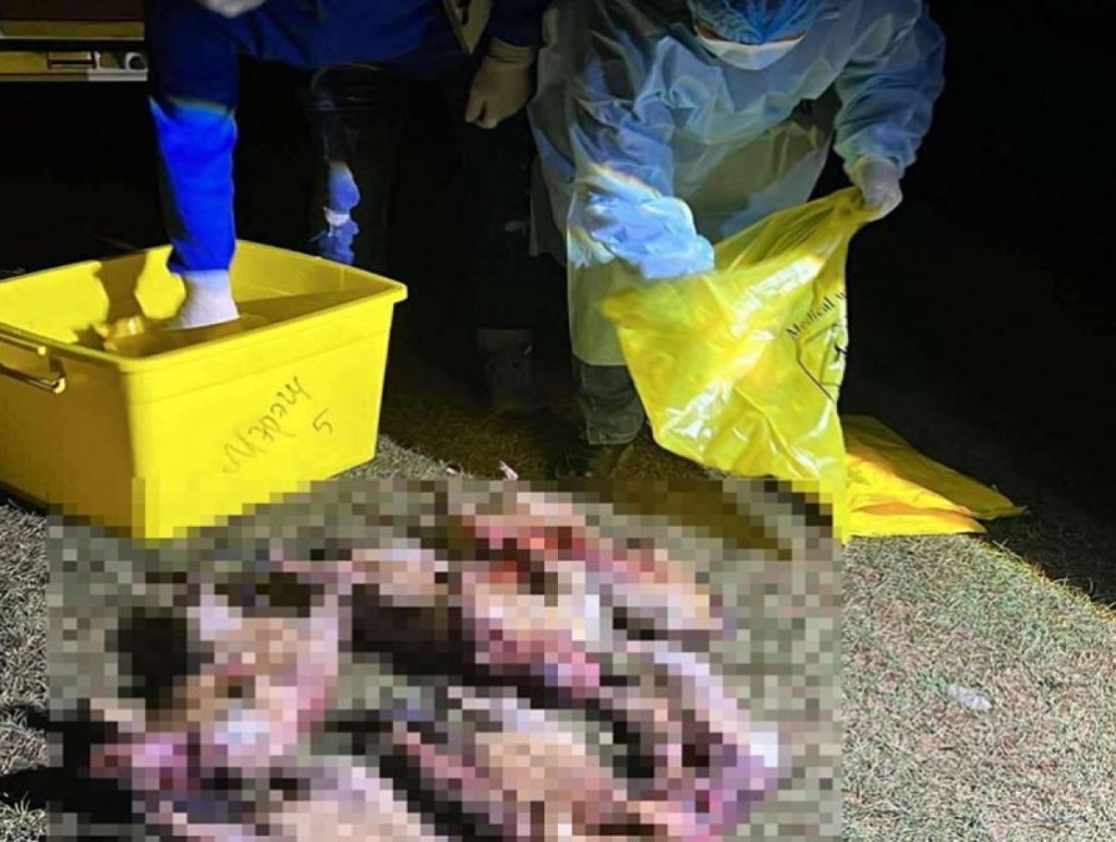 blobid1757918628101-68c7b5a76af2c