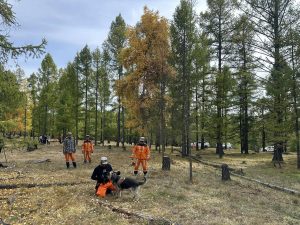 blobid1758611965663-68d249ffd26e2