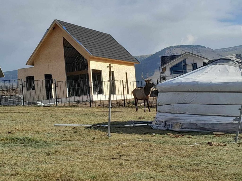 blobid1758952608631-68d77ca0d5a81