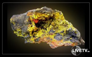 dbbbf61e-e9fc-4959-a2d7-d814784937ea