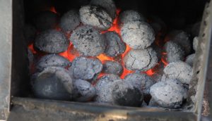 shahmal_tulsh1-102434-983141461