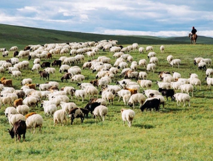 Малчид НДШ-ийн талаар мэдээлэл дутмаг байна