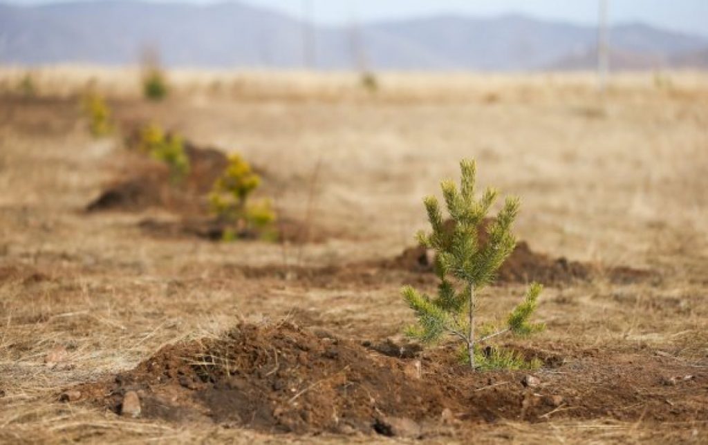 1bd15f206dfd62fe8191c5dd7db9b952