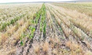 552604058_2294820107620636_5826038731421081392_n