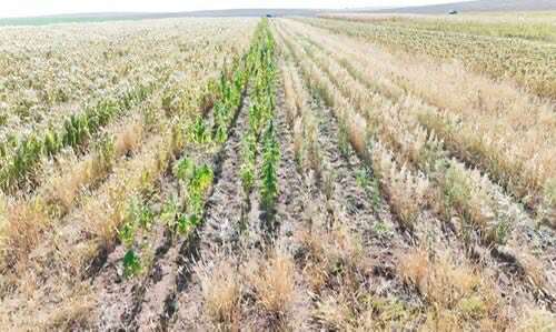 552604058_2294820107620636_5826038731421081392_n